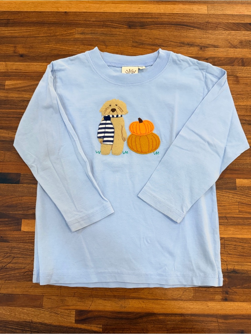 Luigi Kids Fall Dog & Pumpkin Shirt - Size 4